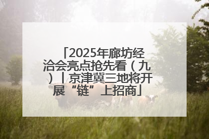 2025年廊坊经洽会亮点抢先看（九）丨京津冀三地将开展“链”上招商