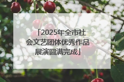 2025年全市社会文艺团体优秀作品展演圆满完成