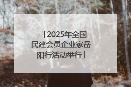 2025年全国民建会员企业家岳阳行活动举行