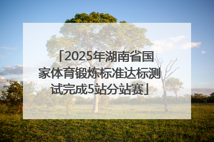 2025年湖南省国家体育锻炼标准达标测试完成5站分站赛