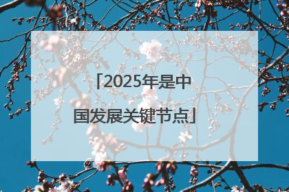 2025年是中国发展关键节点