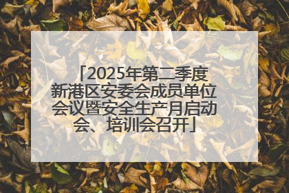 2025年第二季度新港区安委会成员单位会议暨安全生产月启动会、培训会召开