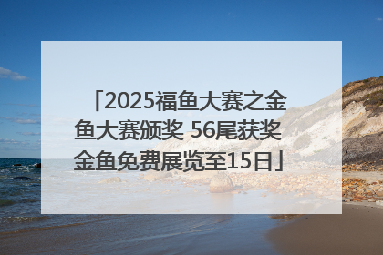 2025福鱼大赛之金鱼大赛颁奖 56尾获奖金鱼免费展览至15日