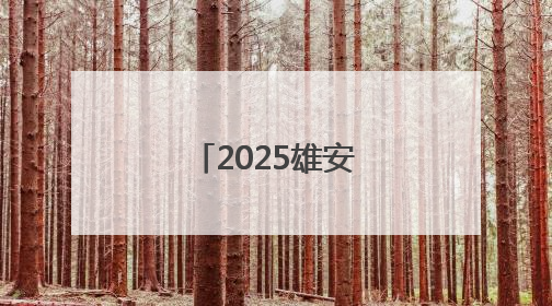 2025雄安国际机器人大赛决赛正式启动