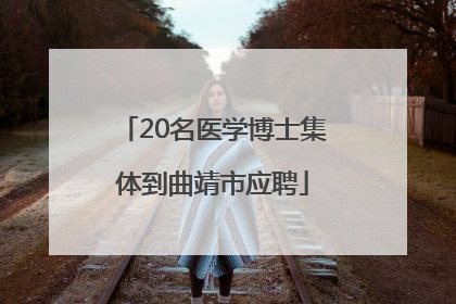 20名医学博士集体到曲靖市应聘