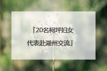 20名柯坪妇女代表赴湖州交流