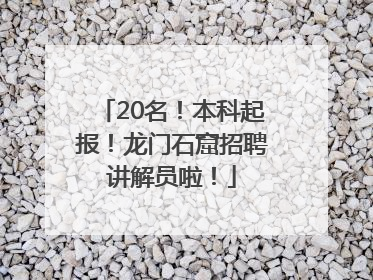 20名！本科起报！龙门石窟招聘讲解员啦！