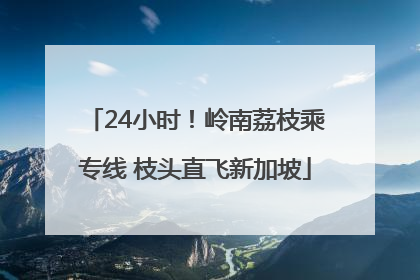 24小时！岭南荔枝乘专线 枝头直飞新加坡