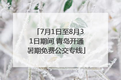 7月1日至8月31日期间 青岛开通暑期免费公交专线