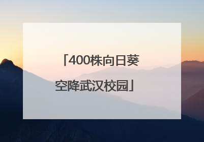 400株向日葵空降武汉校园