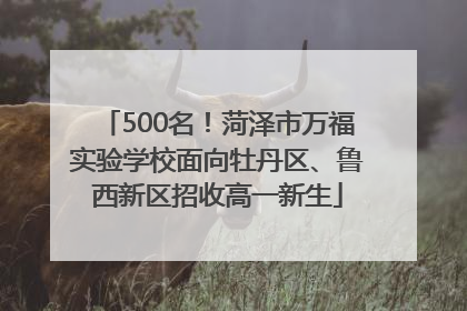 500名！菏泽市万福实验学校面向牡丹区、鲁西新区招收高一新生