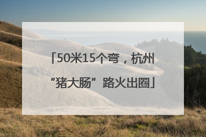 50米15个弯，杭州“猪大肠”路火出圈