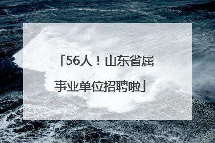 56人！山东省属事业单位招聘啦