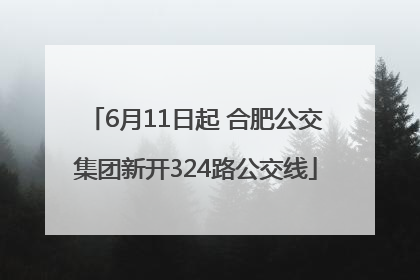 6月11日起 合肥公交集团新开324路公交线