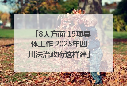 8大方面 19项具体工作 2025年四川法治政府这样建