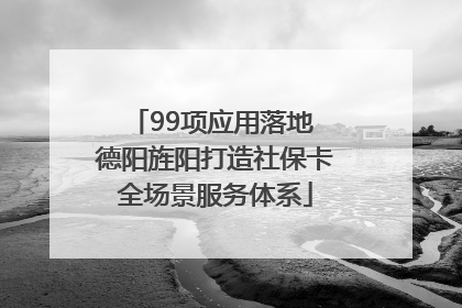 99项应用落地 德阳旌阳打造社保卡全场景服务体系