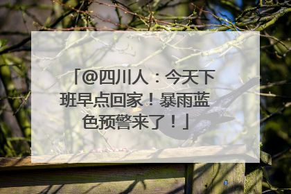 @四川人：今天下班早点回家！暴雨蓝色预警来了！
