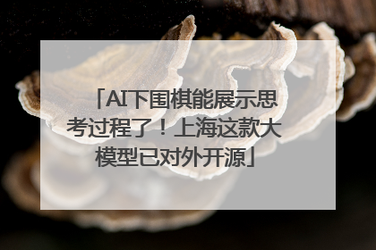 AI下围棋能展示思考过程了！上海这款大模型已对外开源