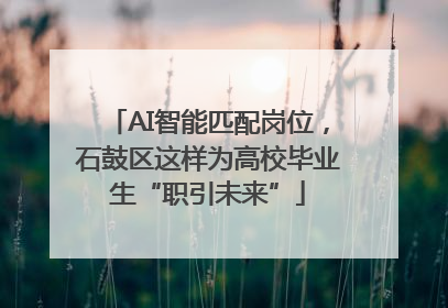 AI智能匹配岗位，石鼓区这样为高校毕业生“职引未来”