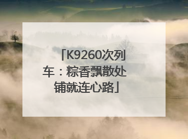 K9260次列车：粽香飘散处 铺就连心路