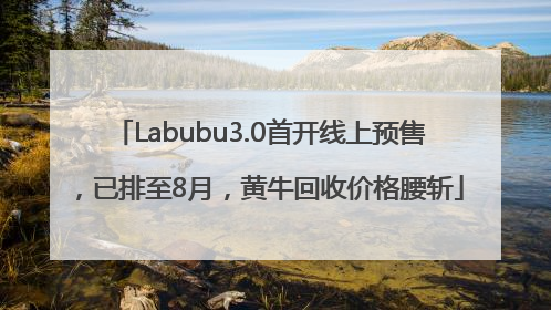 Labubu3.0首开线上预售，已排至8月，黄牛回收价格腰斩