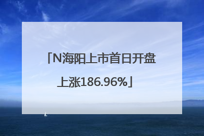 N海阳上市首日开盘上涨186.96%