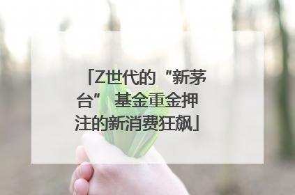 Z世代的“新茅台” 基金重金押注的新消费狂飙